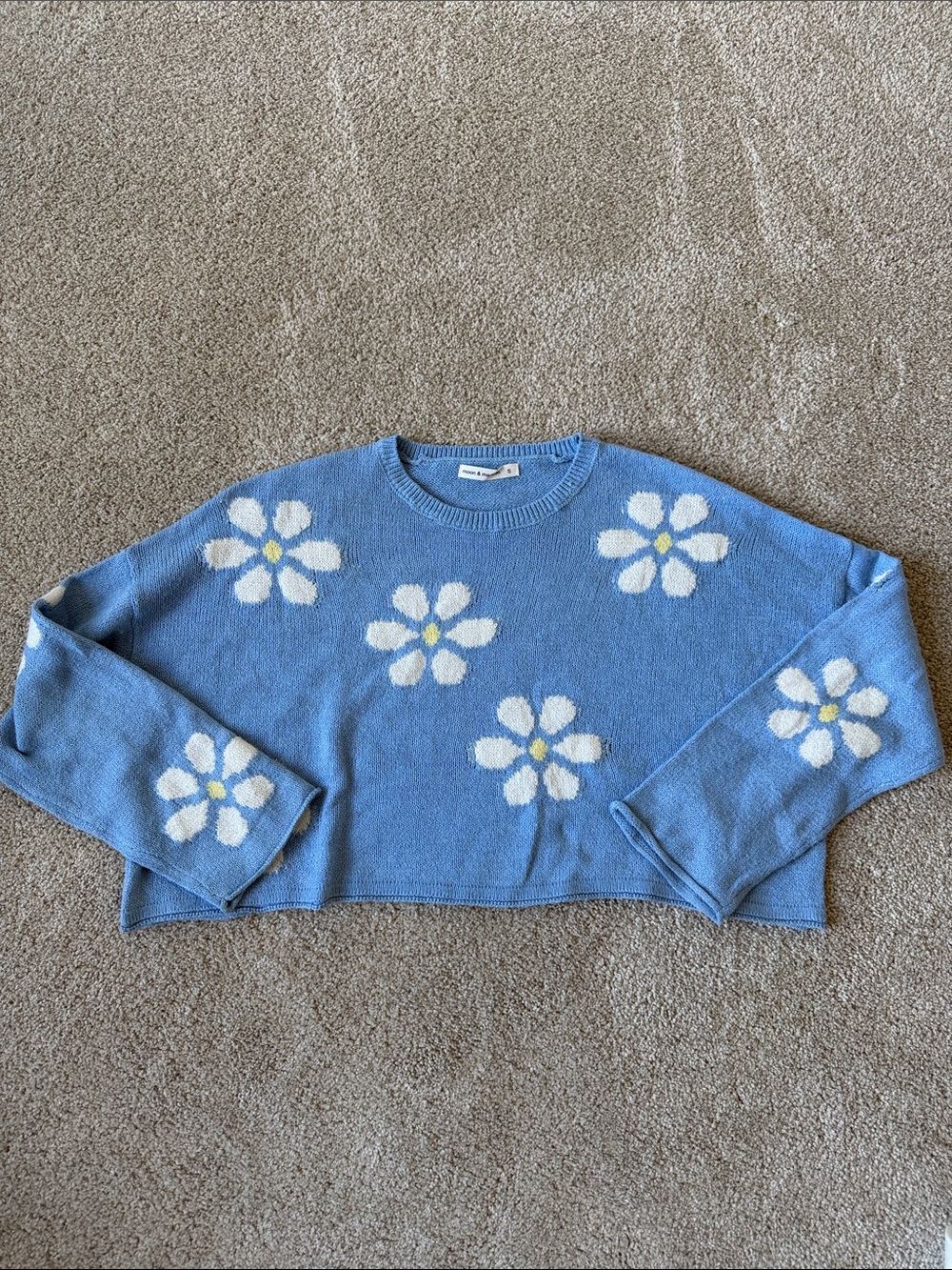 Blue Daisy Knit Crop Sweater